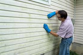 Best Siding Painting and Refinishing  in Avon, IN